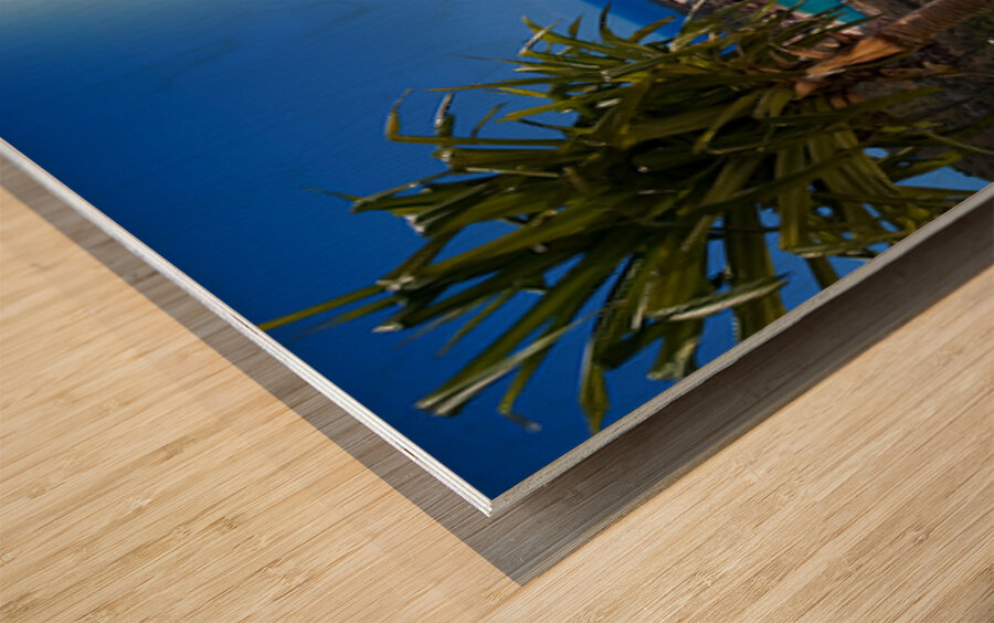 Surfers Paradise Wood print