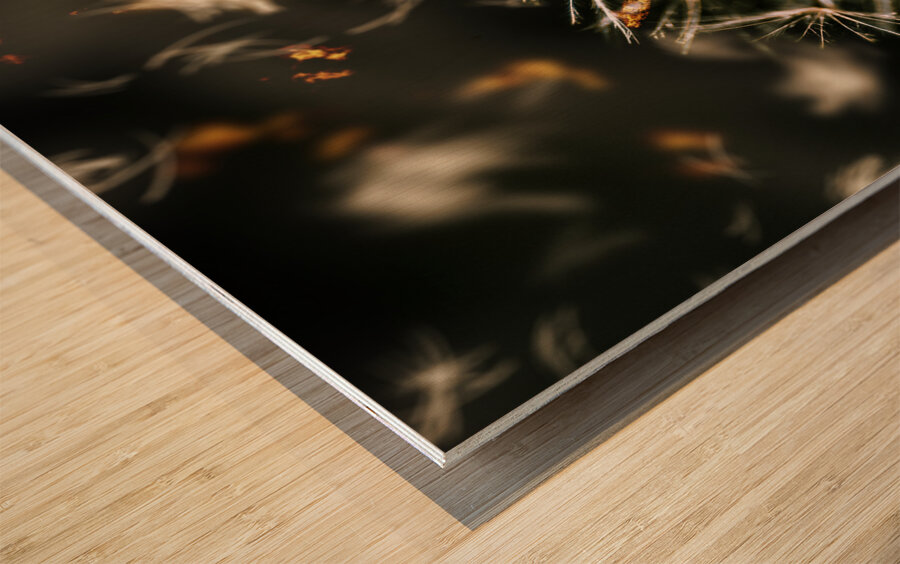 Splinters of finality Wood print