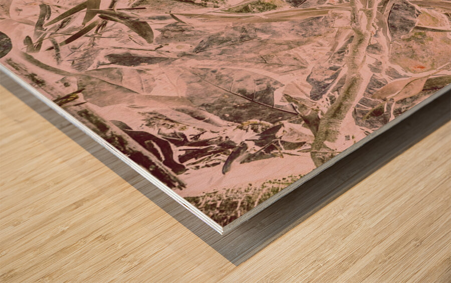 Awash in nature Wood print