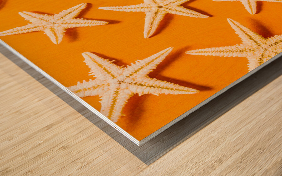 Seaing stars Wood print