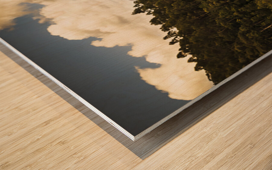 View from halfway up Mount Zeehan Wood print