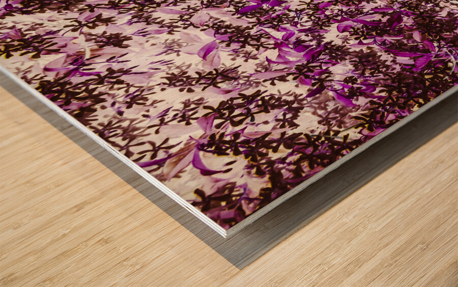 Canopies light Wood print