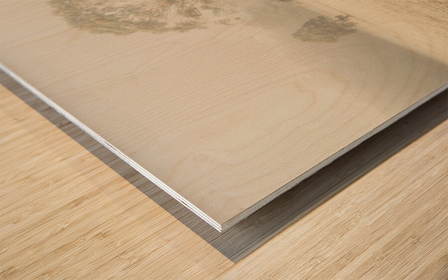 Winter Tasmania background Wood print