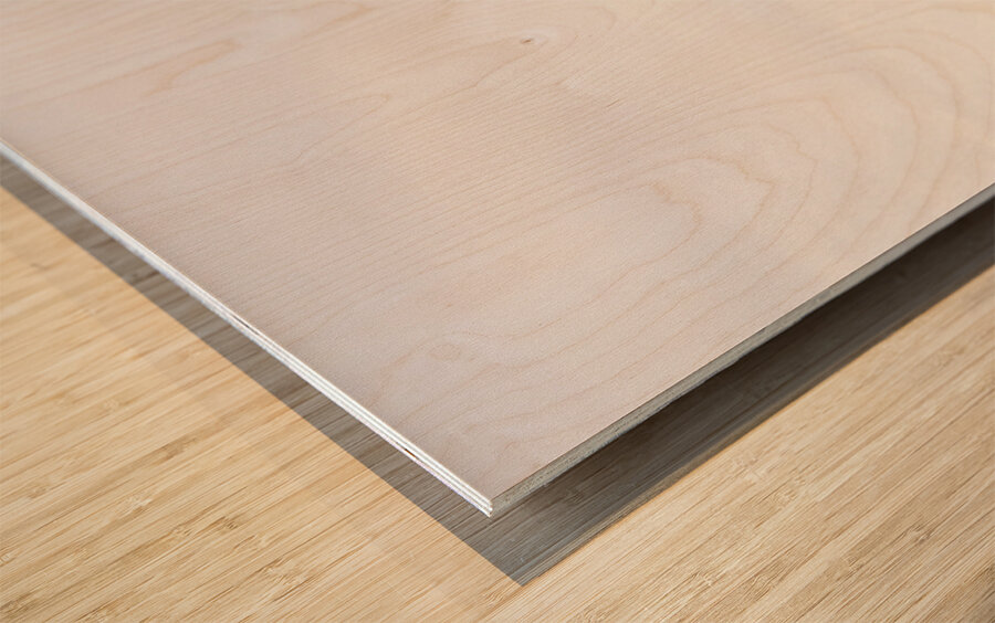 Mount Farrell Regional Reserve in Western Tasmania Wood print