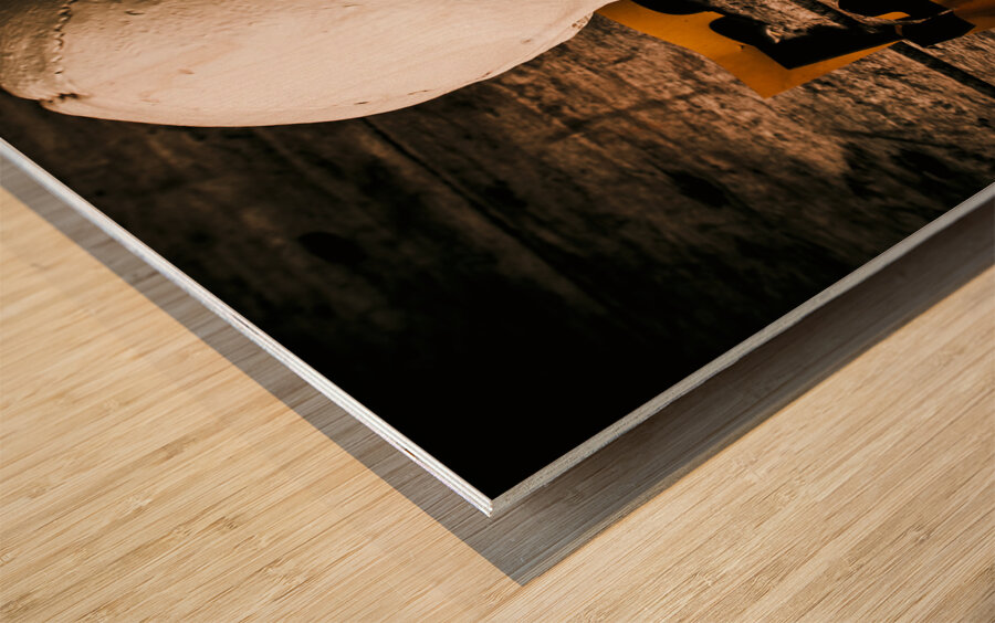 Skull and cross-examination  Wood print