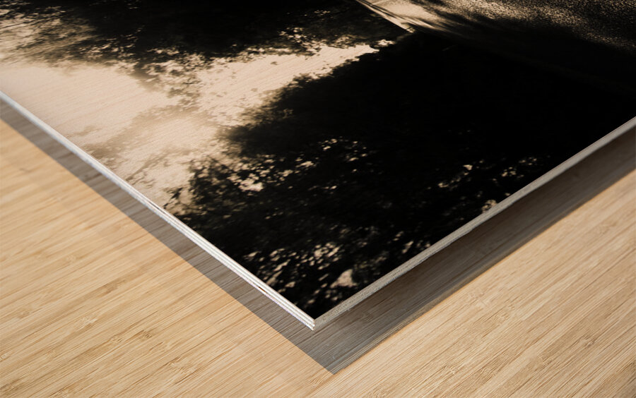 Dark Road Of Shadows Wood print