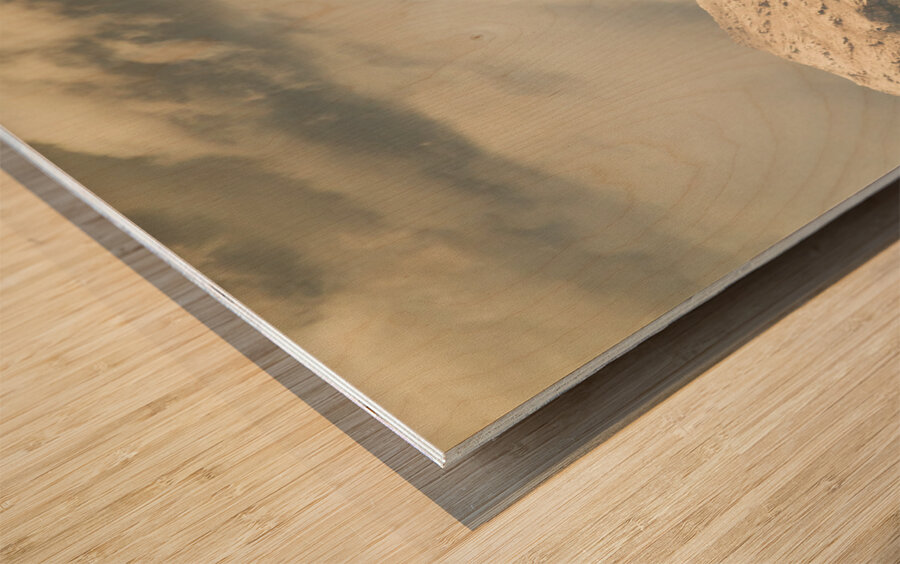 Rocky rural region Wood print