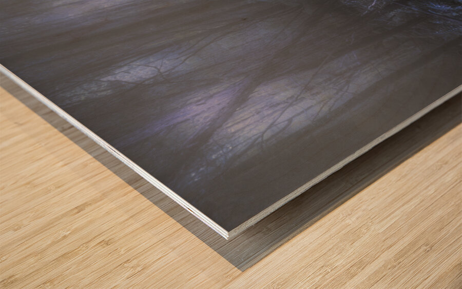 Mystery pathway Wood print