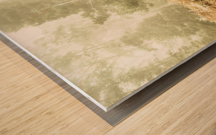 Mysterious trail Wood print