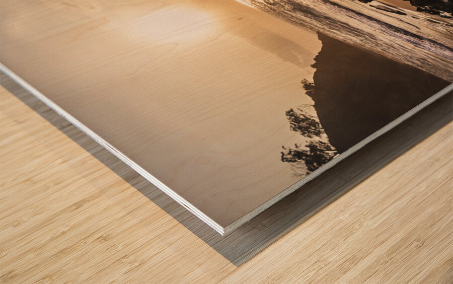 Sunlit stony seashore Wood print