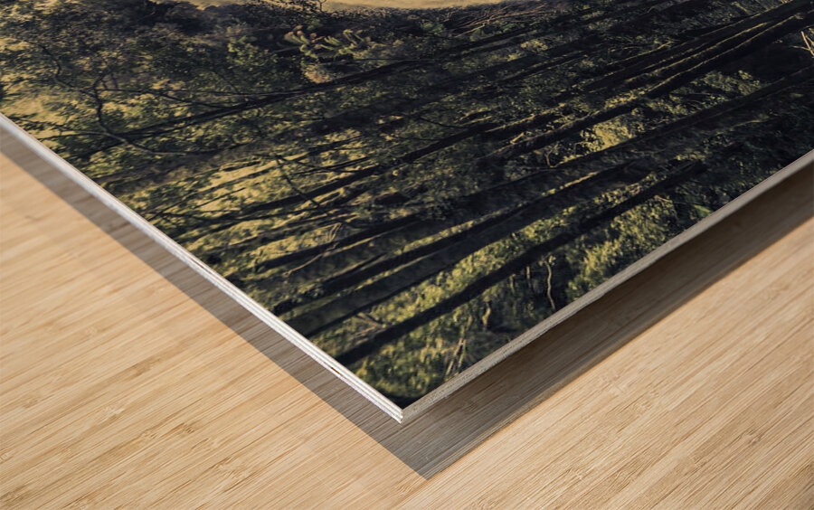 Natural wonder Wood print