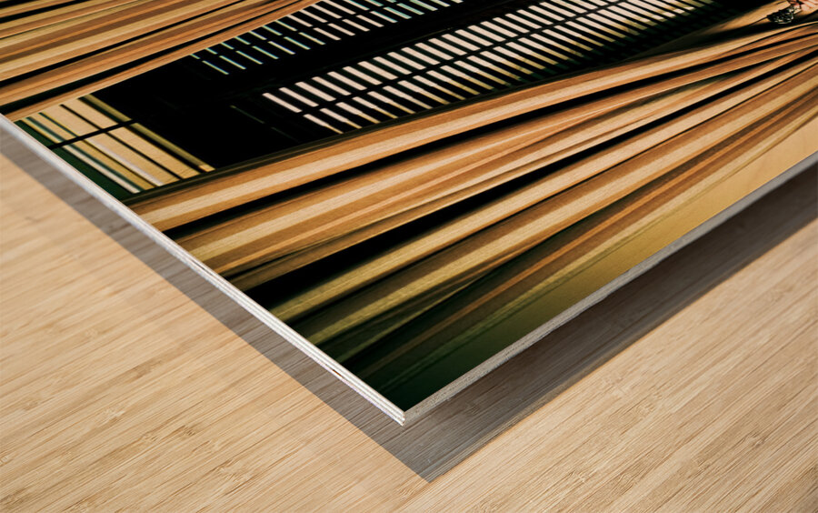 African Safari Couple Wood print