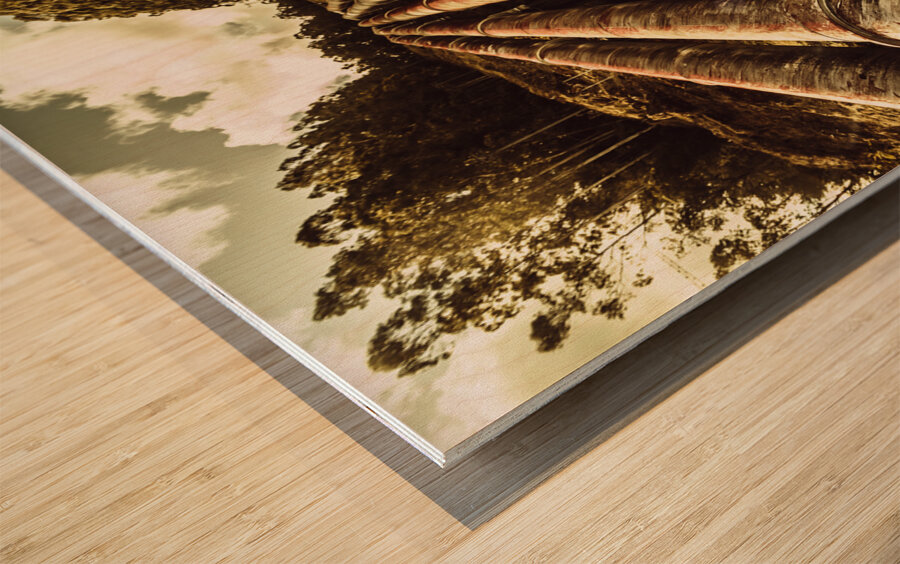 Hydroelectric pipeline Wood print