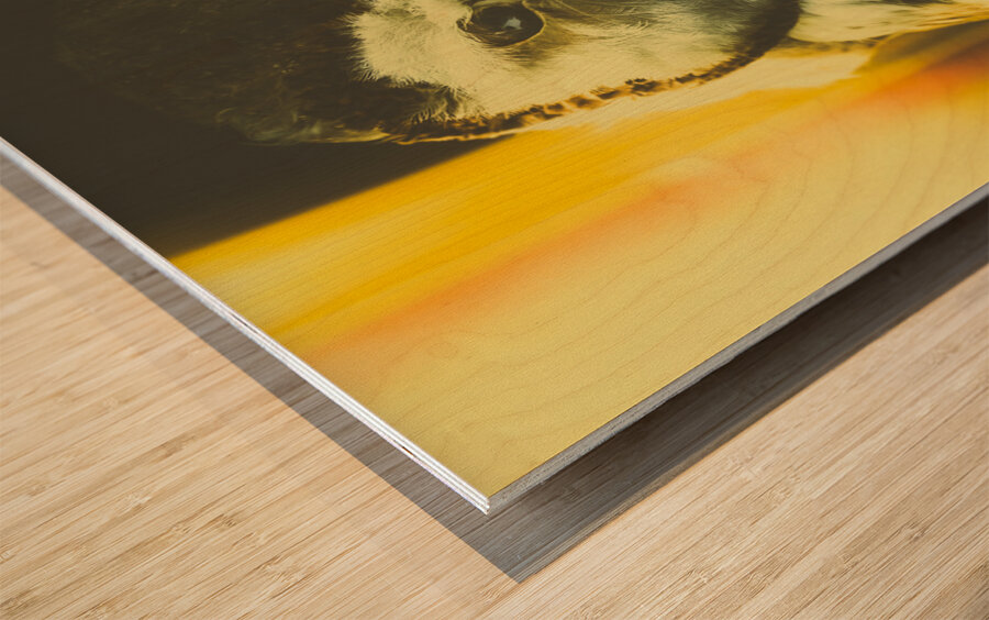 Night owl Wood print