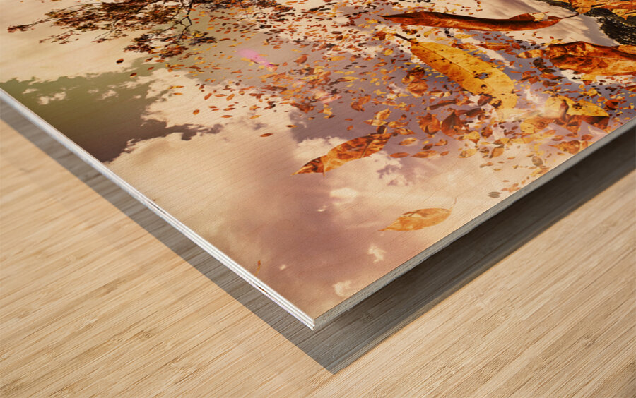 Tree leaves on a sea change Wood print