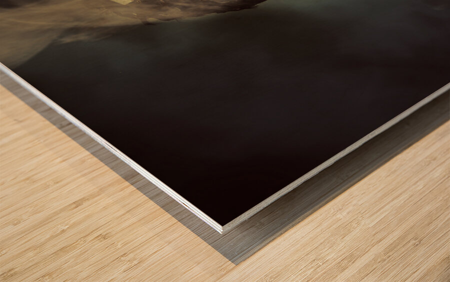 Nerd business man in a fast race competition Wood print