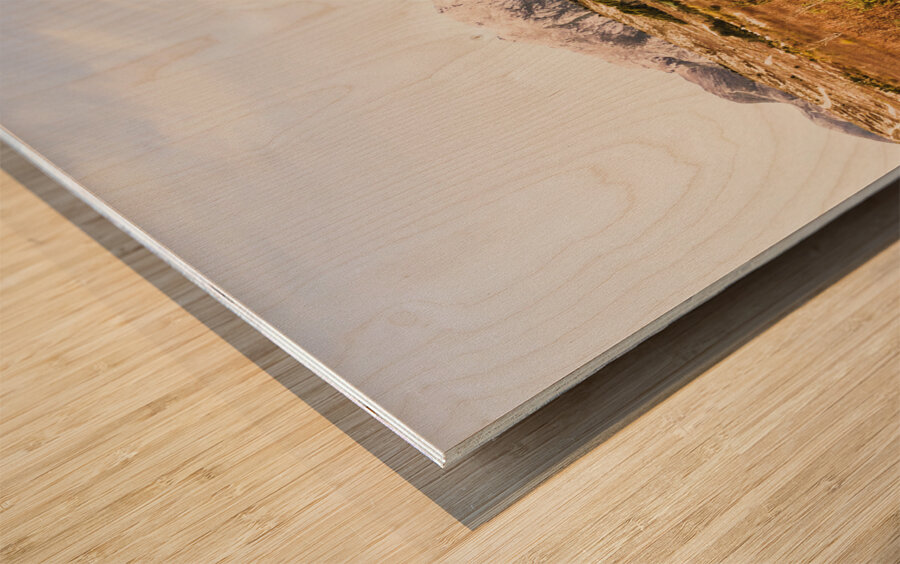 Rugged Australian bushland Wood print