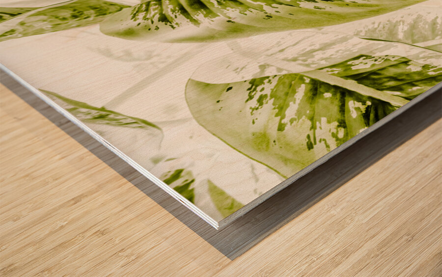 Jungle greens Wood print