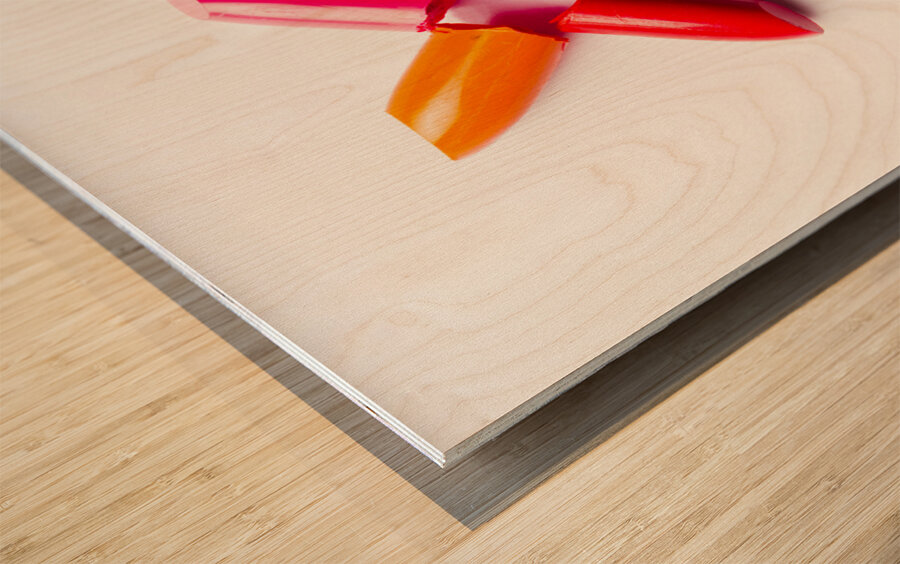 Kiss and makeup Wood print