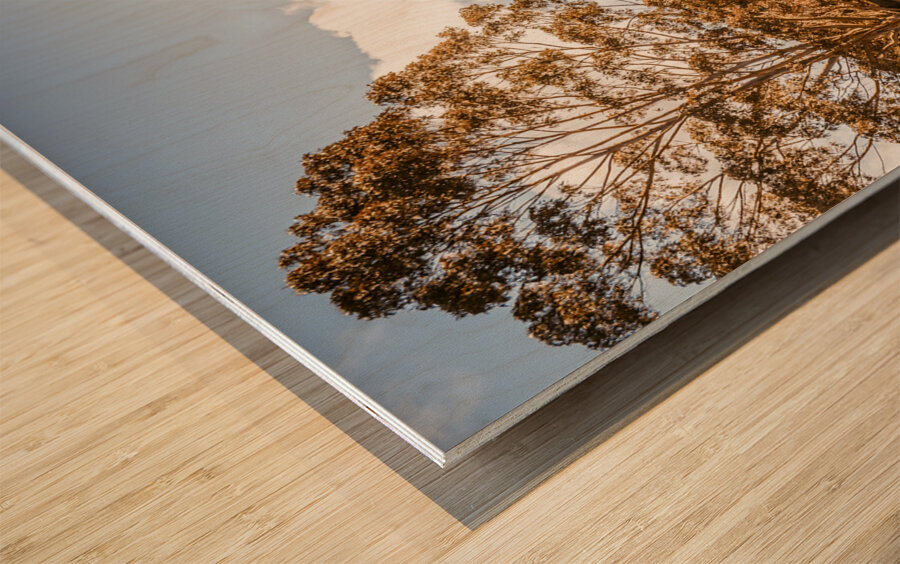 Scene from the outback Wood print