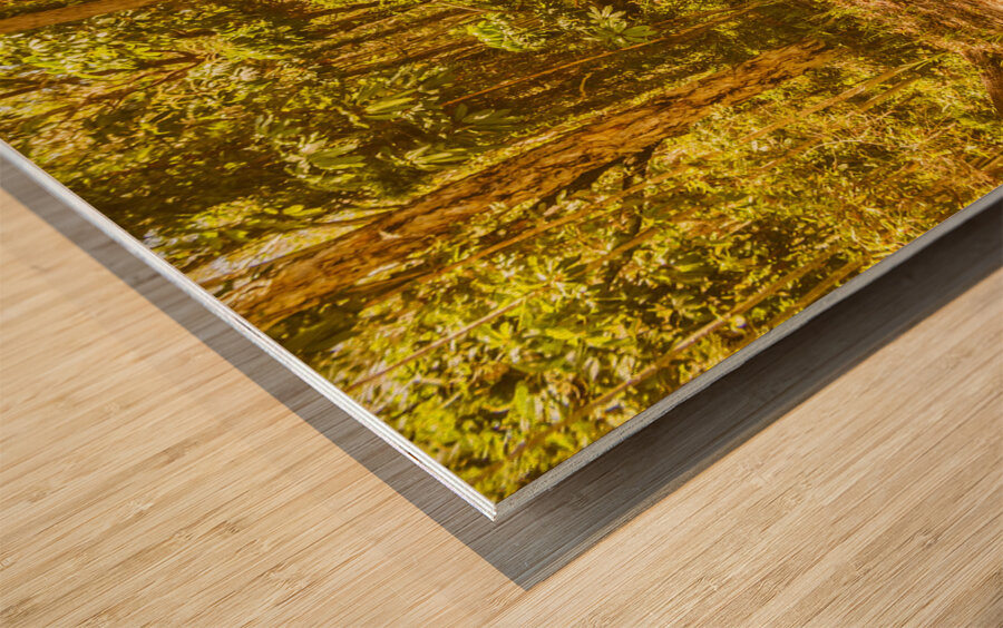 Island inland Wood print