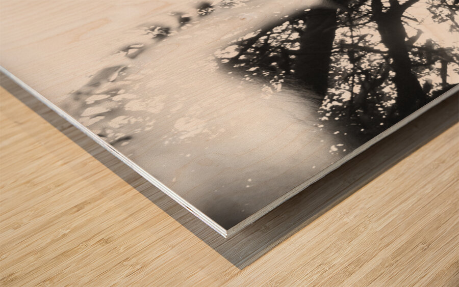 In Vision Wood print