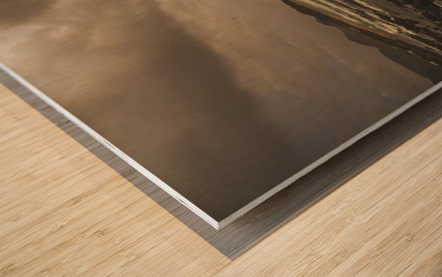 Goodbye sunshine Wood print