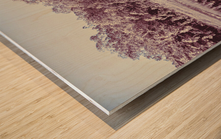 Wild Frost Wood print