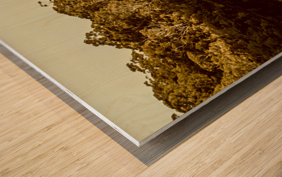 Reflections from Cockle Creek  Wood print