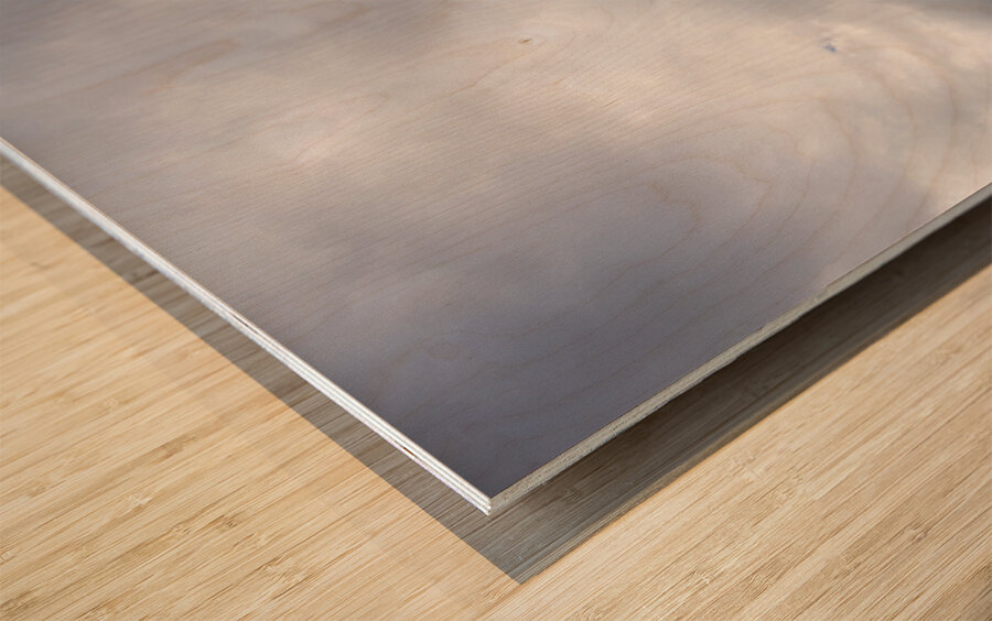 A Flight Of Hope Wood print