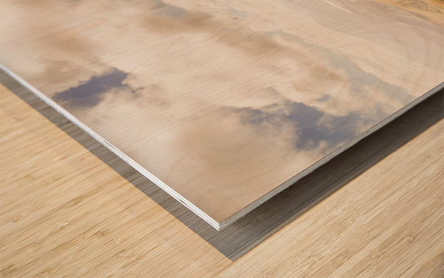 Scenic view of Mt Zeehan Tasmania Australia Wood print