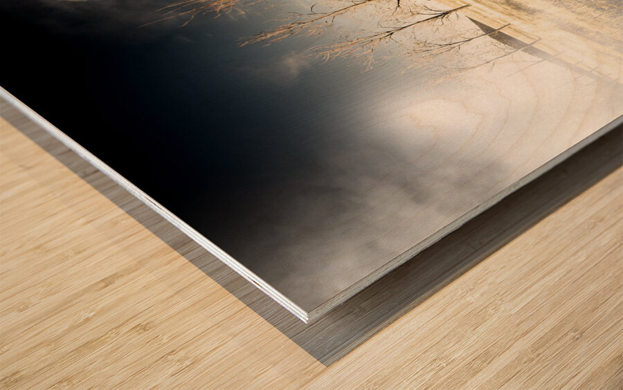 Field Of Terror Wood print