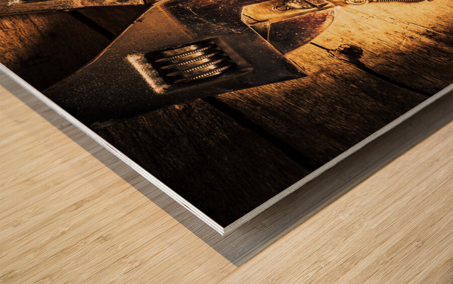 Reprogramming Centre Wood print