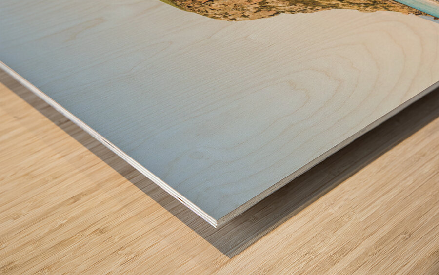 The Stanley Nut Wood print