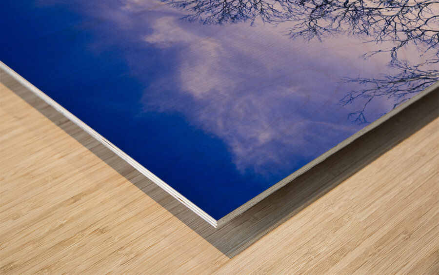 Halloween woodland Wood print