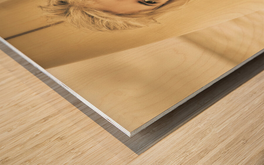 Vintage Surf Wood print