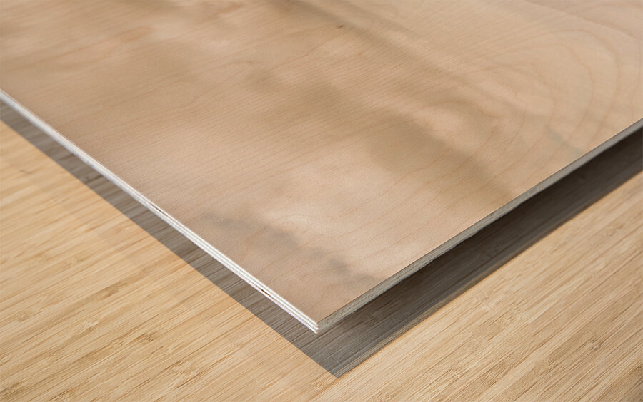 Wondrous Western Tasmania Wood print