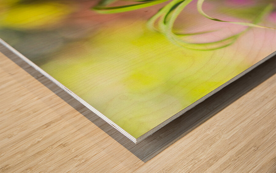 Hands Holding Plant Wood print