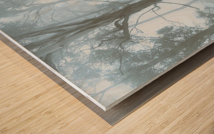 Wild blue woodland Wood print