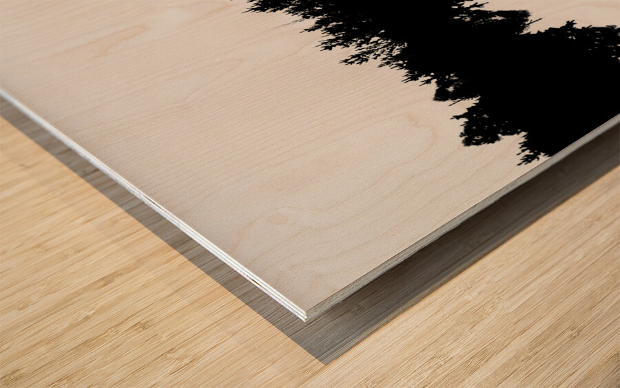 Sound waves made of trees reflected Wood print