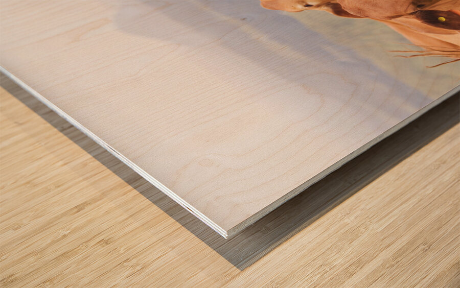 Mountain Cows Wood print