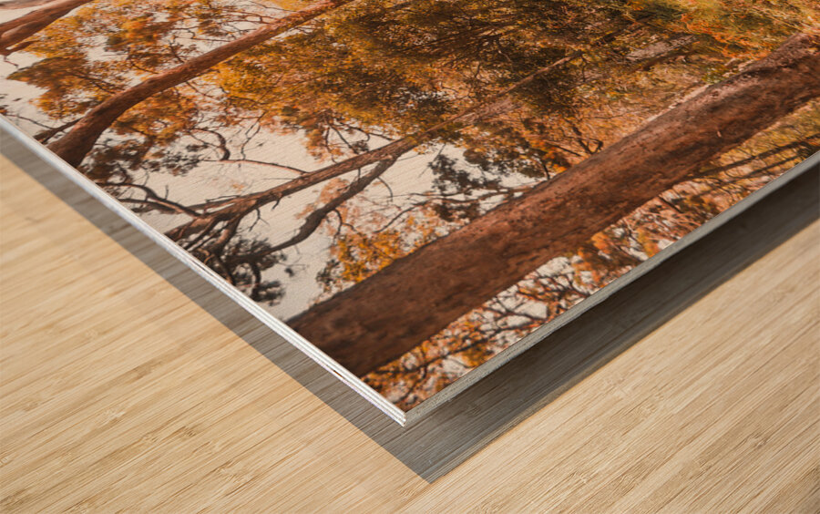 Falls Undergrowth  Wood print