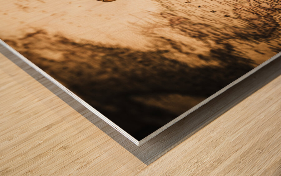 Setting Sail Wood print