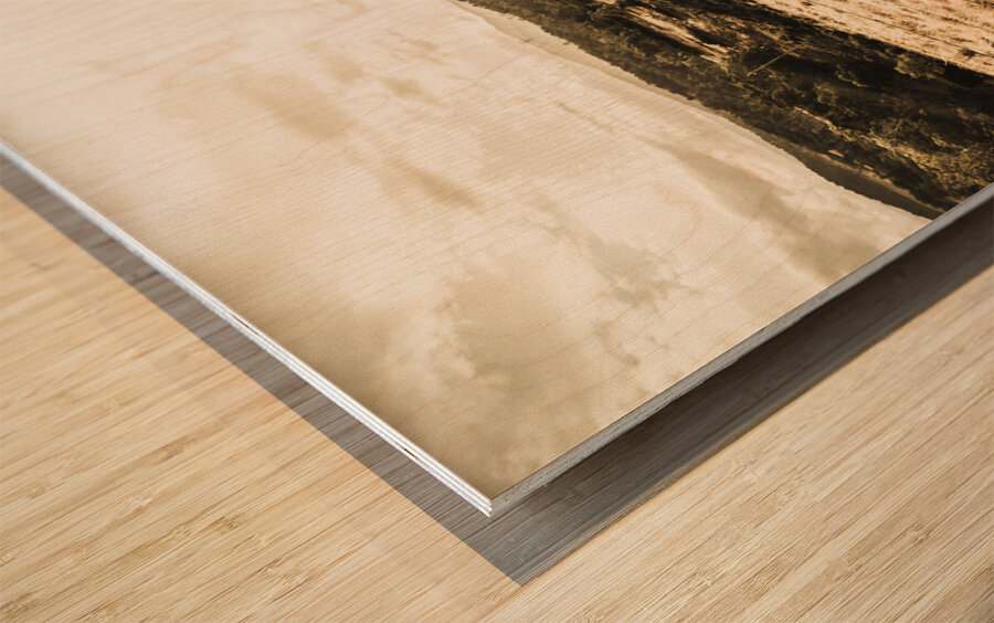 Australian adventurer on rural holiday Wood print