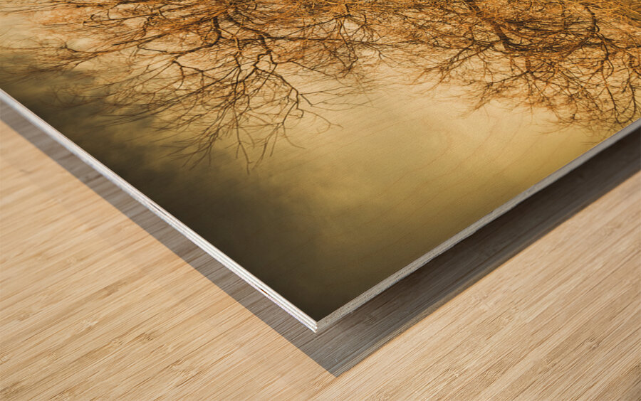 Oatlands autumn tree Wood print