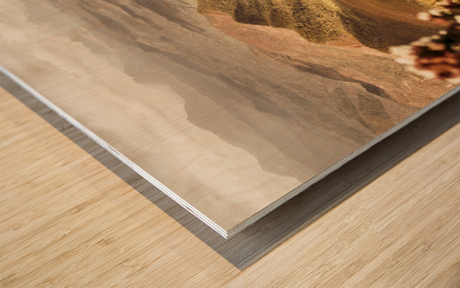 Wild west mountain view Wood print