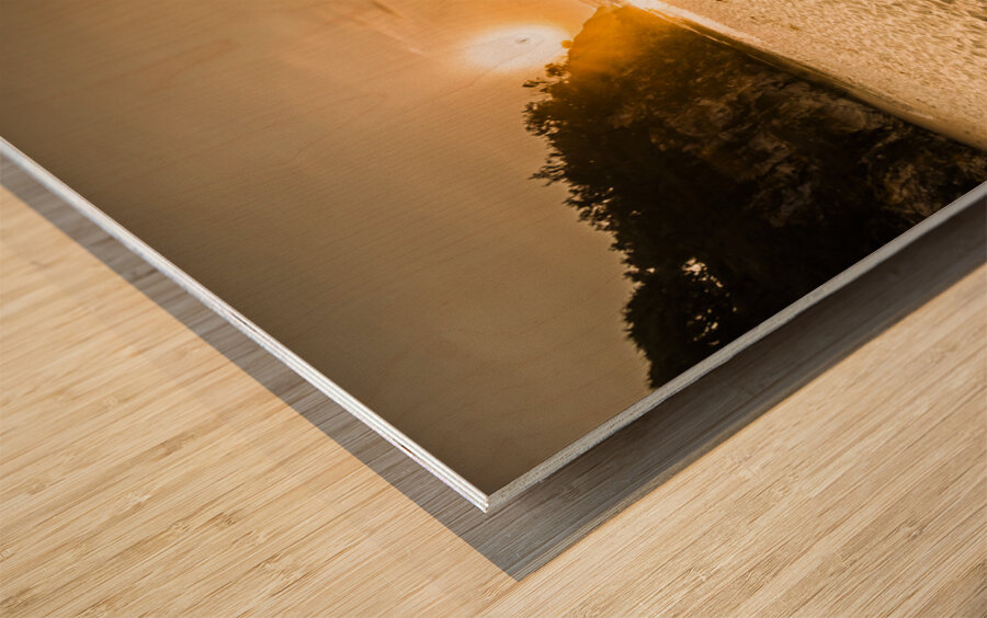 Sand Oasis Wood print