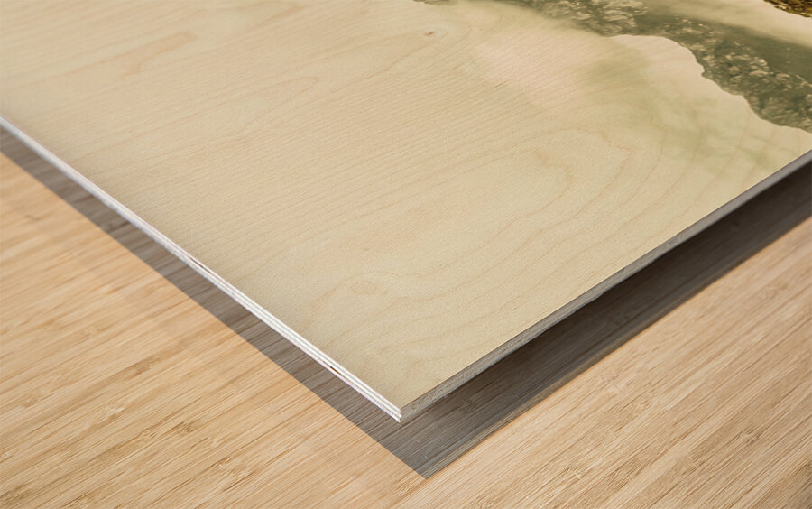 Natural mountain beauty Wood print