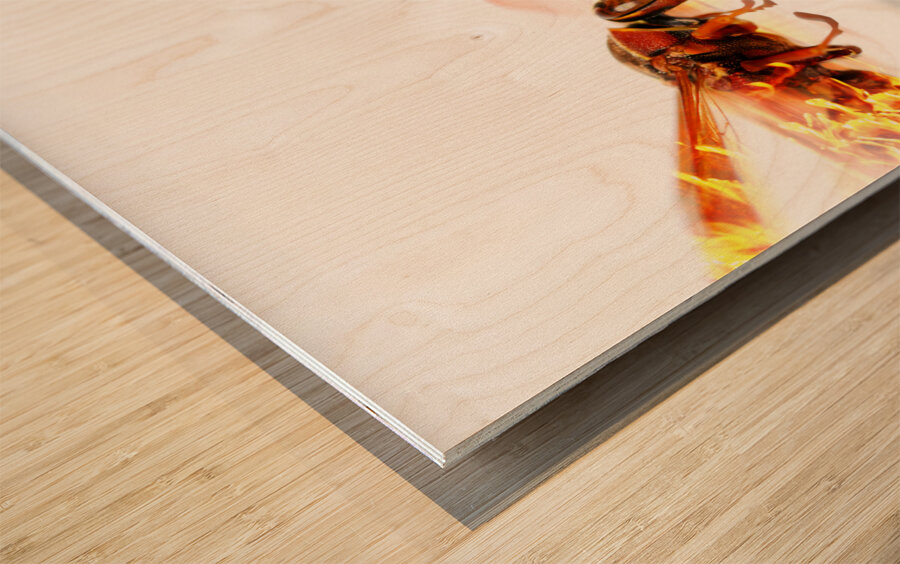 Fire Wasp Racing At Scorching Speed Wood print