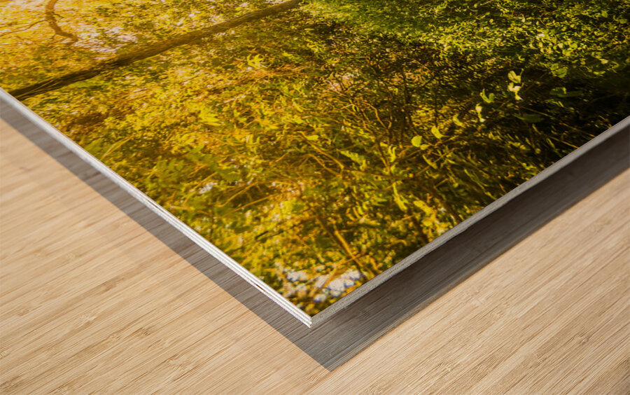 Wander Land  Wood print